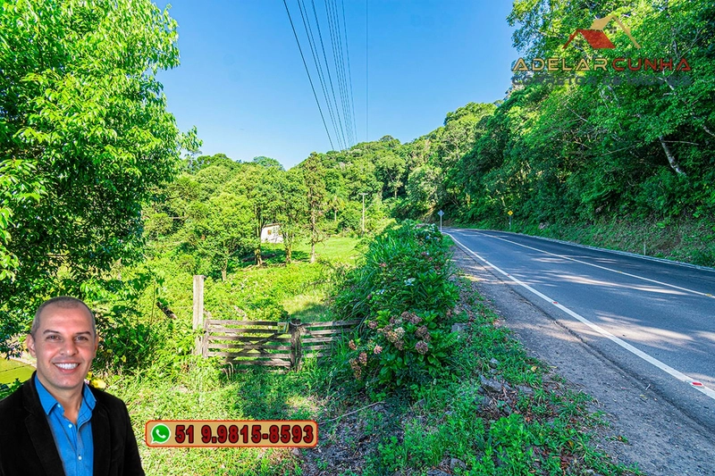 Chácara de 2.5 hectares à VENDA na Rota das Nuvens em Serra Grande: 6ª foto da galeria de imagens do imóvel