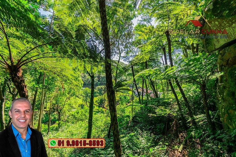 Chácara de 2.5 hectares à VENDA na Rota das Nuvens em Serra Grande: 16ª foto da galeria de imagens do imóvel