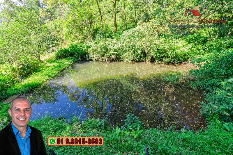 Chácara de 2.5 hectares à VENDA na Rota das Nuvens em Serra Grande: 11ª foto da galeria de imagens do imóvel
