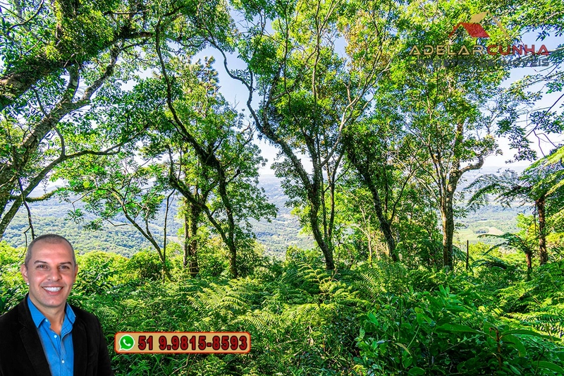 Chácara de 2.5 hectares à VENDA na Rota das Nuvens em Serra Grande: 18ª foto da galeria de imagens do imóvel