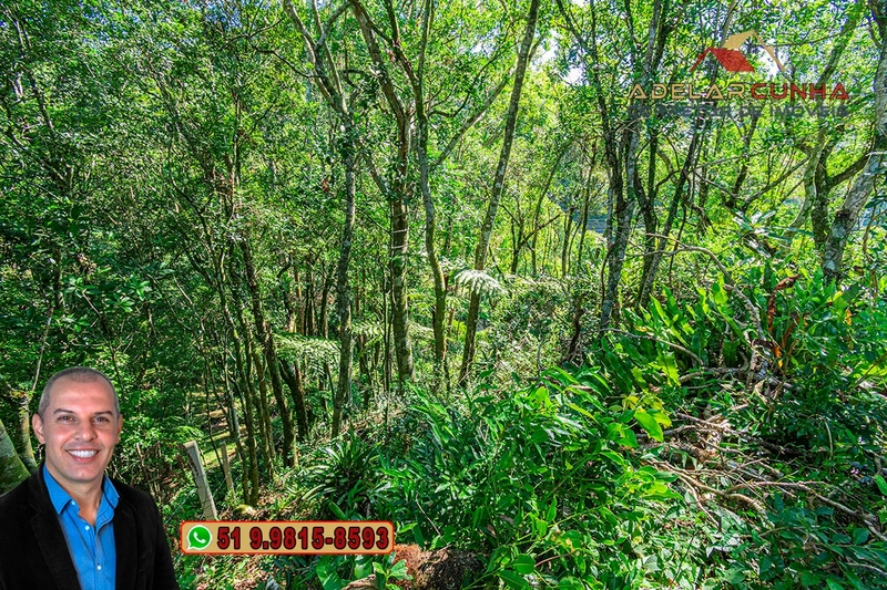 Chácara de 2.5 hectares à VENDA na Rota das Nuvens em Serra Grande: 17ª foto da galeria de imagens do imóvel