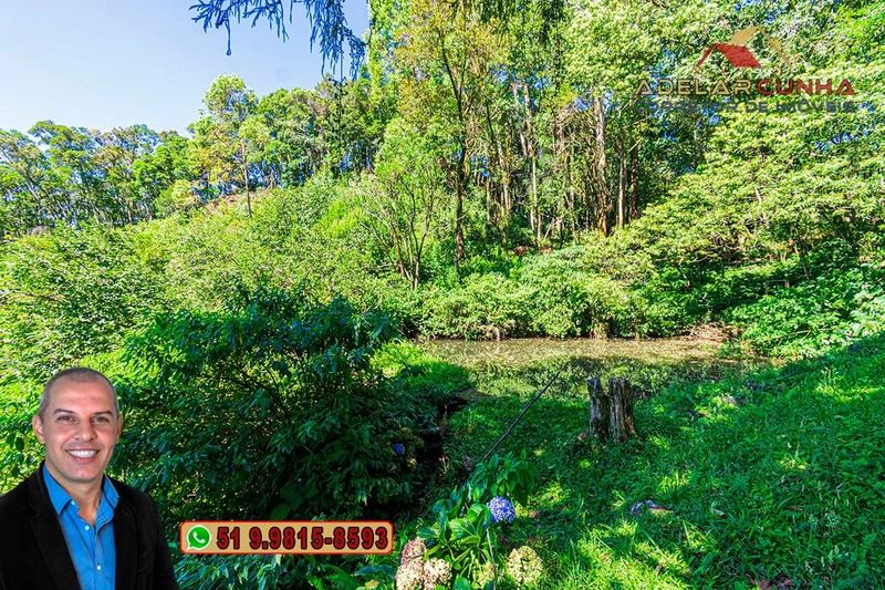 Chácara de 2.5 hectares à VENDA na Rota das Nuvens em Serra Grande: 23ª foto da galeria de imagens do imóvel