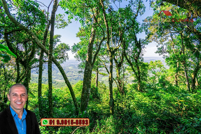 Chácara de 2.5 hectares à VENDA na Rota das Nuvens em Serra Grande: 19ª foto da galeria de imagens do imóvel