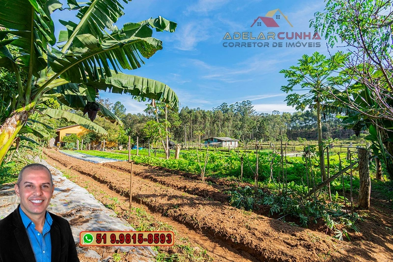 Chácara com Casa à Venda em Araricá - RS: 13ª foto da galeria de imagens do imóvel