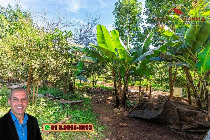 Chácara com Casa à Venda em Araricá - RS: 11ª foto da galeria de imagens do imóvel