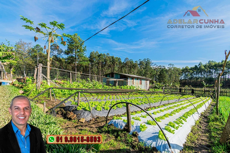 Chácara com Casa à Venda em Araricá - RS: 24ª foto da galeria de imagens do imóvel