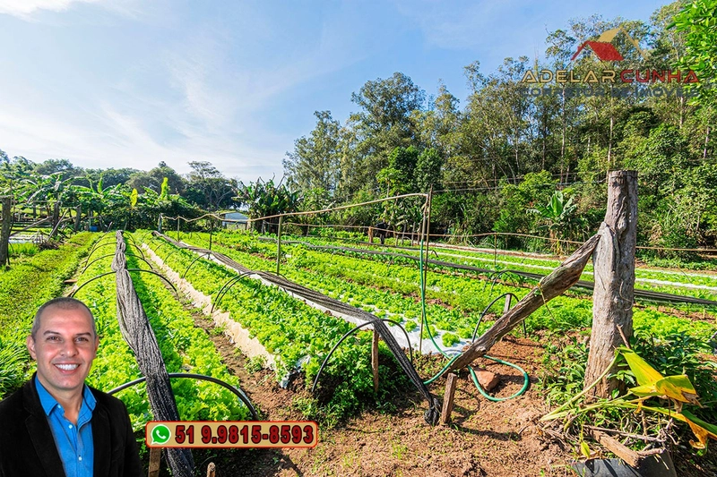 Chácara com Casa à Venda em Araricá - RS: 25ª foto da galeria de imagens do imóvel