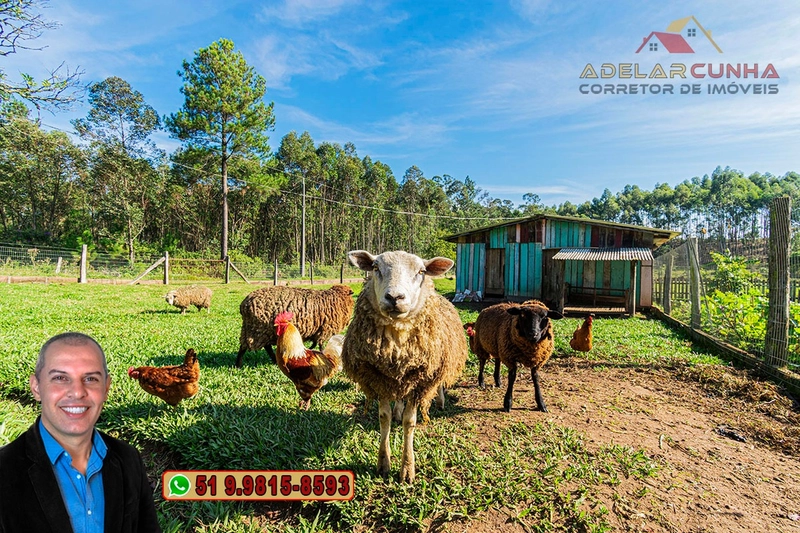 Chácara com Casa à Venda em Araricá - RS: 32ª foto da galeria de imagens do imóvel