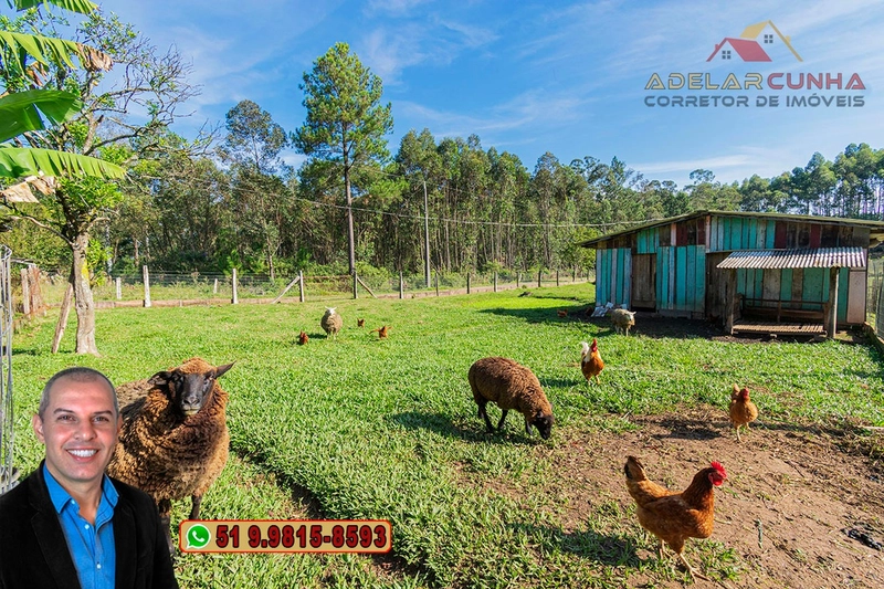 Chácara com Casa à Venda em Araricá - RS: 31ª foto da galeria de imagens do imóvel