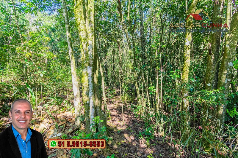 Terreno Comercial com Casa à VENDA em Taquara - RS: 7ª foto da galeria de imagens do imóvel