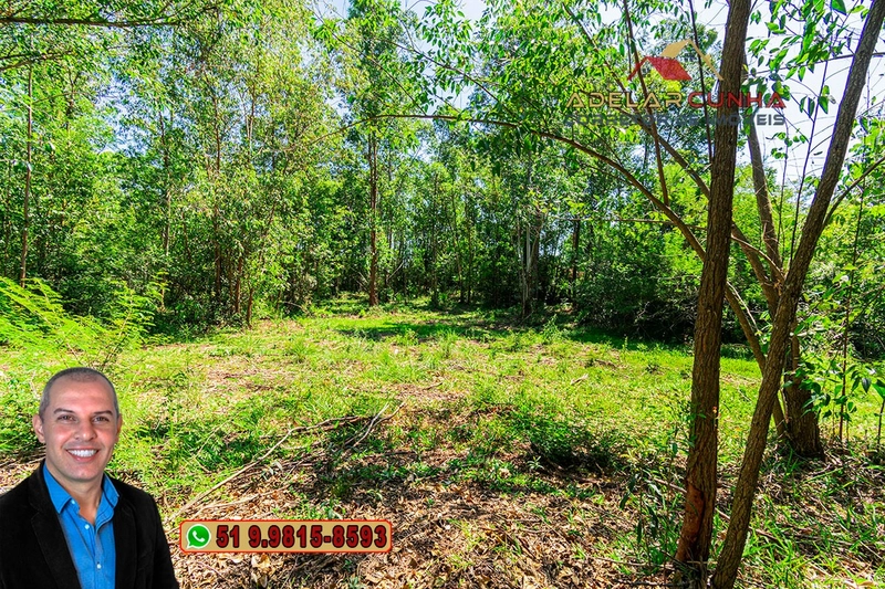 Chácara À Venda em Araricá: 9ª foto da galeria de imagens do imóvel