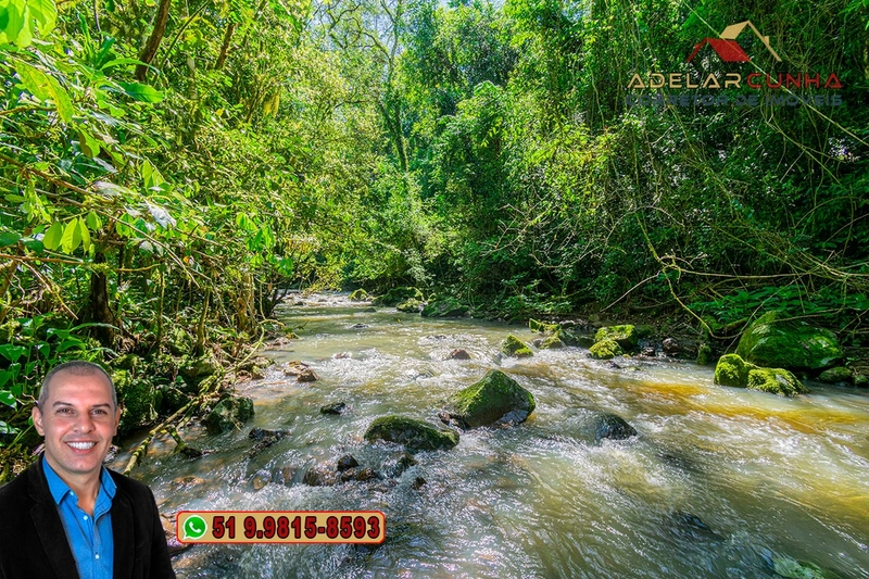Sítio de 11.7 hectares à VENDA Igrejinha - RS: 6ª foto da galeria de imagens do imóvel