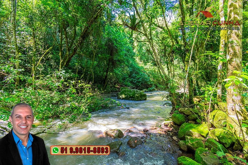 Sítio de 11.7 hectares à VENDA Igrejinha - RS: 7ª foto da galeria de imagens do imóvel
