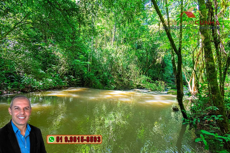 Sítio de 11.7 hectares à VENDA Igrejinha - RS: 4ª foto da galeria de imagens do imóvel