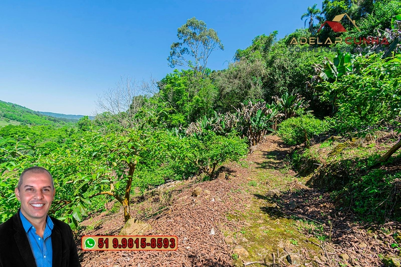 Sítio de 11.7 hectares à VENDA Igrejinha - RS: 68ª foto da galeria de imagens do imóvel