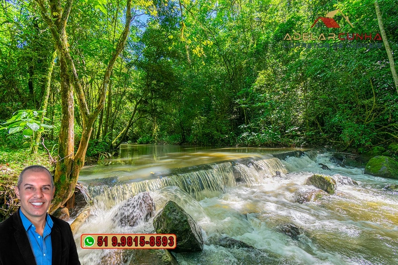 Sítio de 11.7 hectares à VENDA Igrejinha - RS: 5ª foto da galeria de imagens do imóvel
