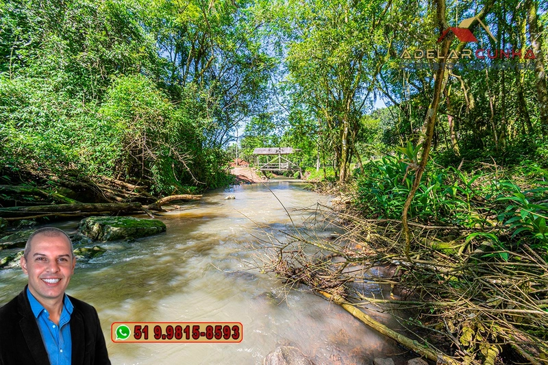 Sítio de 11.7 hectares à VENDA Igrejinha - RS: 8ª foto da galeria de imagens do imóvel