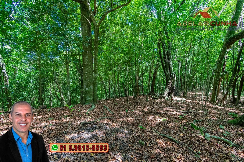 Chácara com 4.4 hectares à Venda em Três Coroas – RS: 104ª foto da galeria de imagens do imóvel