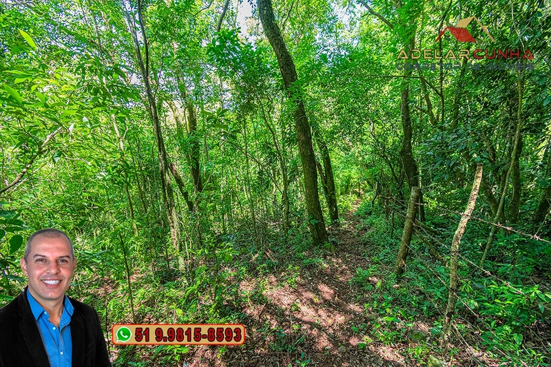 Chácara com 4.4 hectares à Venda em Três Coroas – RS: 101ª foto da galeria de imagens do imóvel
