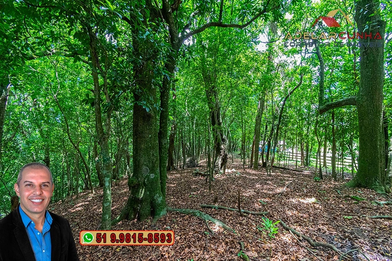 Chácara com 4.4 hectares à Venda em Três Coroas – RS: 105ª foto da galeria de imagens do imóvel
