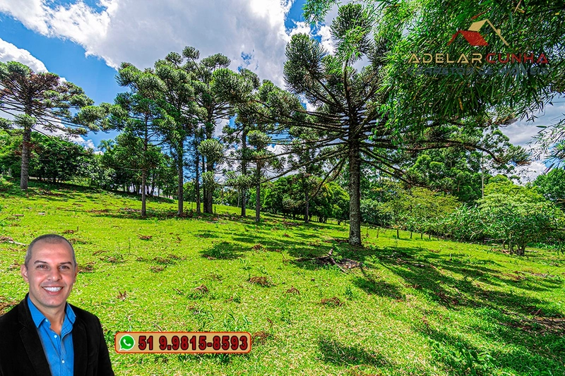 Chácara com 4.4 hectares à Venda em Três Coroas – RS: 19ª foto da galeria de imagens do imóvel