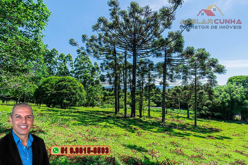 Chácara com 4.4 hectares à Venda em Três Coroas – RS: 18ª foto da galeria de imagens do imóvel