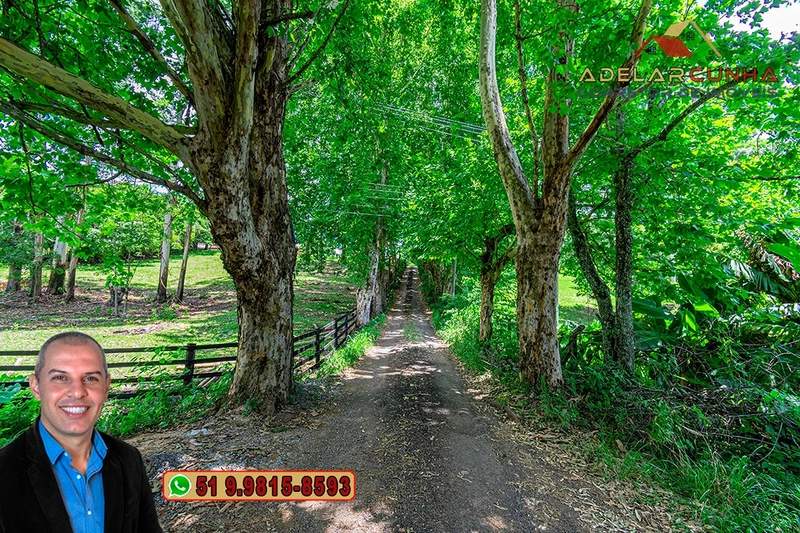 Chácara com 4.4 hectares à Venda em Três Coroas – RS: 4ª foto da galeria de imagens do imóvel