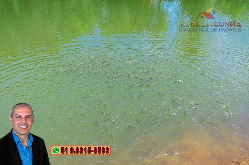 Chácara com 4.4 hectares à Venda em Três Coroas – RS: 90ª foto da galeria de imagens do imóvel