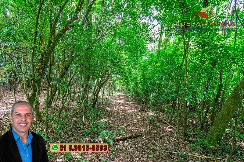 Chácara com 4.4 hectares à Venda em Três Coroas – RS: 103ª foto da galeria de imagens do imóvel