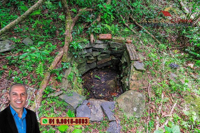 Chácara com 4.4 hectares à Venda em Três Coroas – RS: 102ª foto da galeria de imagens do imóvel