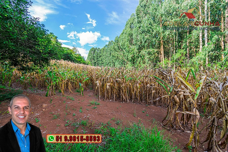 Sítio à Venda na região do Morro Ceroula em Três Coroas – RS: 83ª foto da galeria de imagens do imóvel