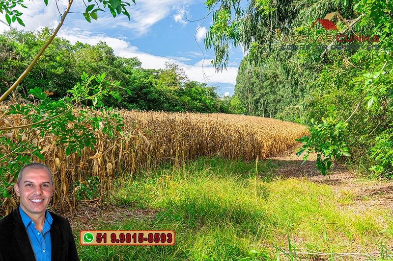 Sítio à Venda na região do Morro Ceroula em Três Coroas – RS: 82ª foto da galeria de imagens do imóvel