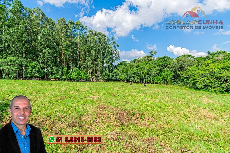 Sítio à Venda na região do Morro Ceroula em Três Coroas – RS: 76ª foto da galeria de imagens do imóvel