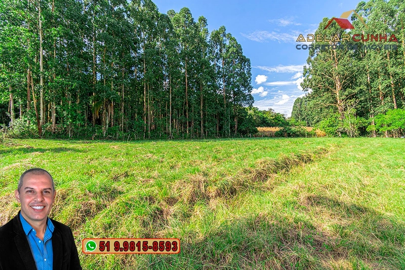 Sítio à Venda na região do Morro Ceroula em Três Coroas – RS: 81ª foto da galeria de imagens do imóvel
