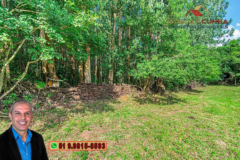 Sítio à Venda na região do Morro Ceroula em Três Coroas – RS: 79ª foto da galeria de imagens do imóvel