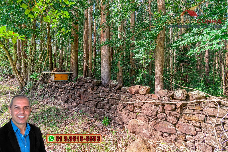 Sítio à Venda na região do Morro Ceroula em Três Coroas – RS: 80ª foto da galeria de imagens do imóvel