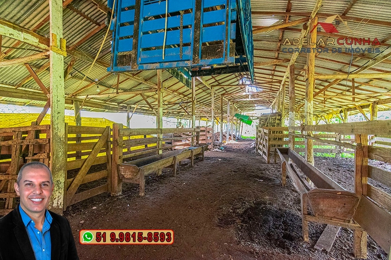 Sítio à Venda na região do Morro Ceroula em Três Coroas – RS: 54ª foto da galeria de imagens do imóvel