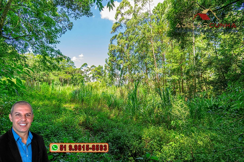 Chácara 3.6 hectares à VENDA em Três Coroas - RS : 47ª foto da galeria de imagens do imóvel