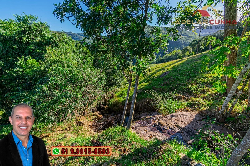 LOTE 03: Chácara de 3.5 hectares com Riacho, À VENDA em Gramado – RS: 5ª foto da galeria de imagens do imóvel