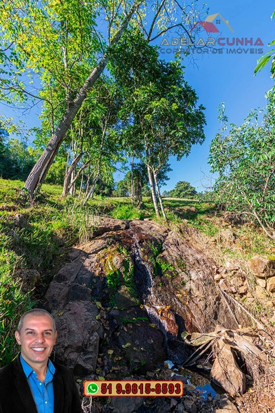 LOTE 03: Chácara de 3.5 hectares com Riacho, À VENDA em Gramado – RS: 7ª foto da galeria de imagens do imóvel