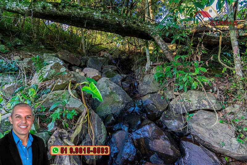 LOTE 03: Chácara de 3.5 hectares com Riacho, À VENDA em Gramado – RS: 20ª foto da galeria de imagens do imóvel