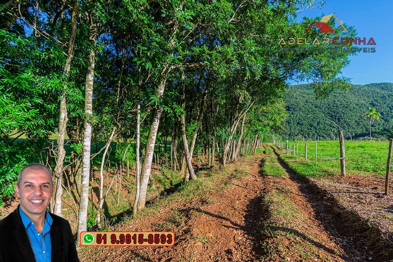 LOTE 03: Chácara de 3.5 hectares com Riacho, À VENDA em Gramado – RS: 15ª foto da galeria de imagens do imóvel