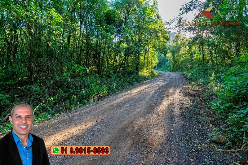 LOTE 03: Chácara de 3.5 hectares com Riacho, À VENDA em Gramado – RS: 30ª foto da galeria de imagens do imóvel