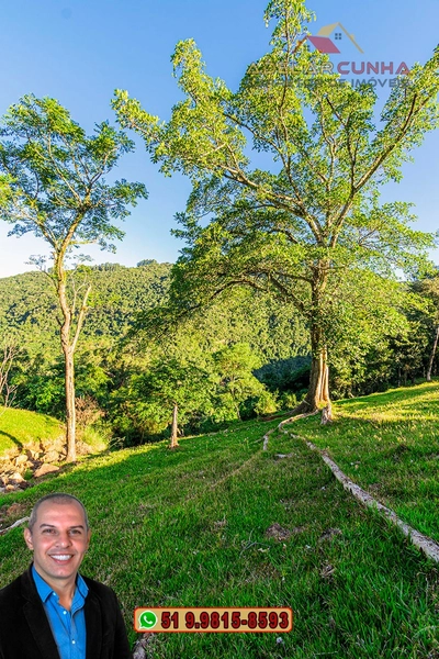 LOTE 03: Chácara de 3.5 hectares com Riacho, À VENDA em Gramado – RS: 21ª foto da galeria de imagens do imóvel