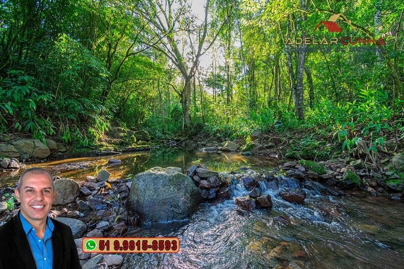 LOTE 03: Chácara de 3.5 hectares com Riacho, À VENDA em Gramado – RS: 48ª foto da galeria de imagens do imóvel