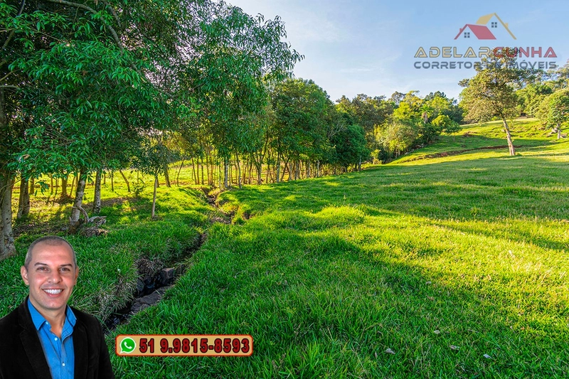 LOTE 03: Chácara de 3.5 hectares com Riacho, À VENDA em Gramado – RS: 16ª foto da galeria de imagens do imóvel