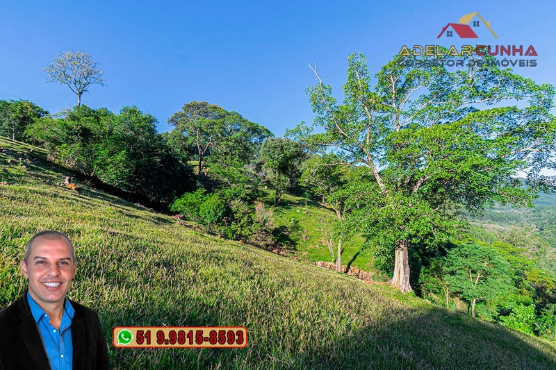 LOTE 03: Chácara de 3.5 hectares com Riacho, À VENDA em Gramado – RS: 19ª foto da galeria de imagens do imóvel
