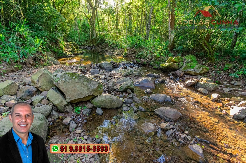LOTE 03: Chácara de 3.5 hectares com Riacho, À VENDA em Gramado – RS: 31ª foto da galeria de imagens do imóvel