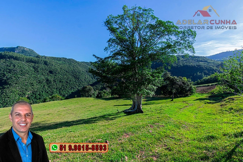 LOTE 03: Chácara de 3.5 hectares com Riacho, À VENDA em Gramado – RS: 11ª foto da galeria de imagens do imóvel