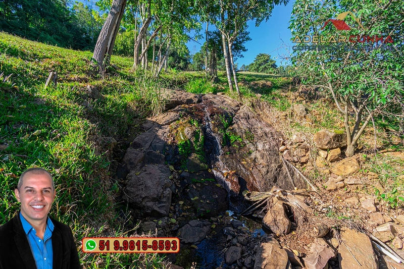 LOTE 03: Chácara de 3.5 hectares com Riacho, À VENDA em Gramado – RS: 6ª foto da galeria de imagens do imóvel